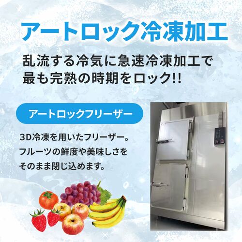 国産冷凍フルーツ 贅沢3種パック / ギフト デザート 国産