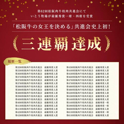 松阪牛ホルモン（松坂牛）600g【木箱なし】 / 牛肉 ギフト 送料無料