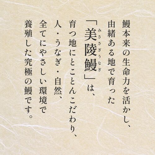 フィレうなぎ２尾※白焼 / 鰻 ウナギ ギフト 送料無料