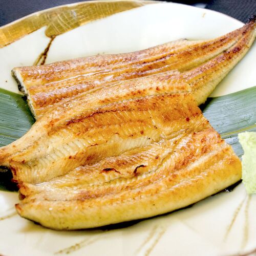 フィレうなぎ３尾※白焼 / 鰻 ウナギ ギフト 送料無料