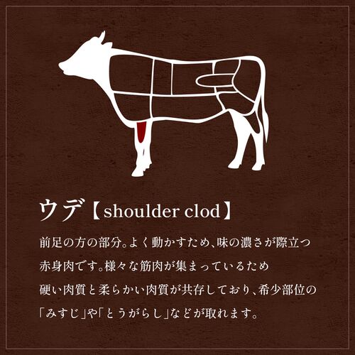 能登牛 牛肩(うで) すき焼き・しゃぶしゃぶ 500g / 牛肉 ギフト 送料無料