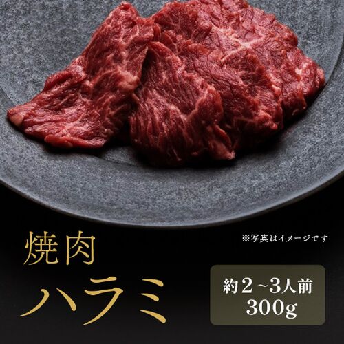 焼肉 ハラミ 外国産 300g×1P / 牛肉 ギフト 送料無料