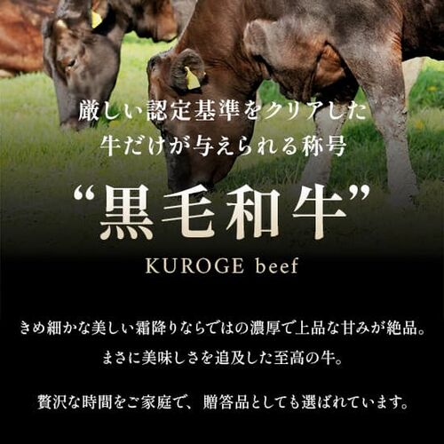 黒毛和牛サーロインステーキ 200g×6枚 / 牛肉 ギフト 送料無料