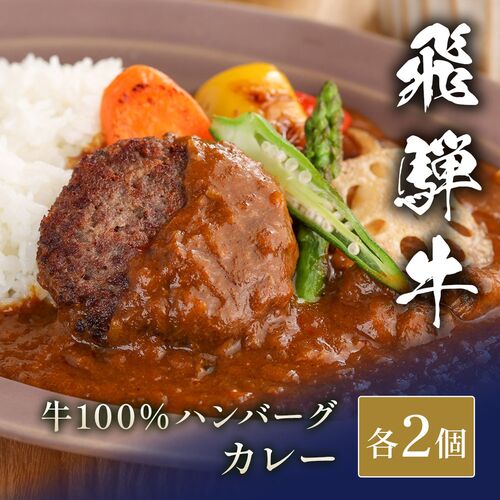 飛騨牛 牛100％ハンバーグ2個＋カレー2袋 / ハンバーグ ギフト 送料無料