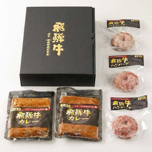 飛騨牛 牛100％ハンバーグ2個＋カレー2袋 / ハンバーグ ギフト 送料無料