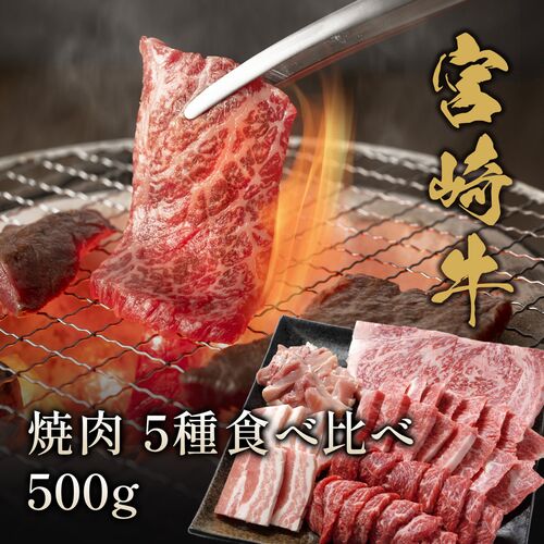 宮崎牛 焼肉 5種食べ比べ 500g / 牛肉 ギフト 送料無料