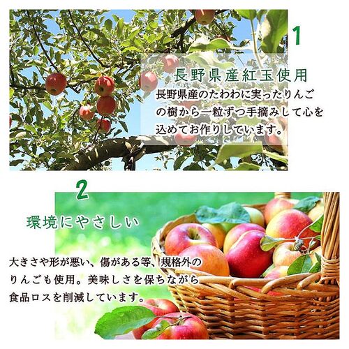 りんごづくしギフトBOX / ジャム 紅茶 セット 送料無料