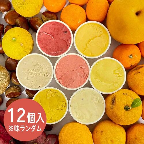 【上代厳守】ジェラート（12個入）※味ランダム / アイス ジェラート SDGs 送料無料