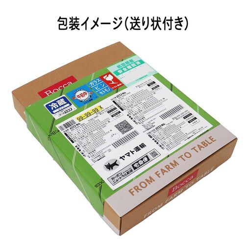 Bocca　プリン2個入＆飲むヨーグルト4本セット / 牧家 北海道 ギフト 送料無料