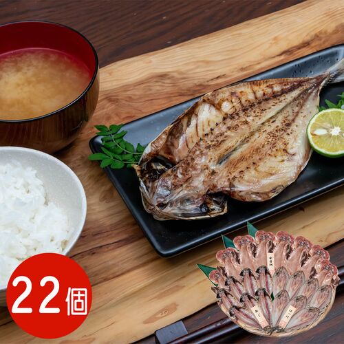 【上代厳守】五島灘の塩 干物詰合せ 22尾セット / 国産 冷凍 送料無料