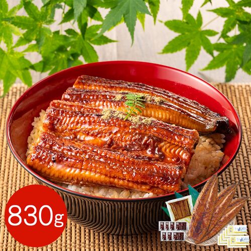 【上代厳守】特大 鹿児島県産うなぎ蒲焼とカットうなぎのセット 830g（長焼き 250g 2尾・カットうなぎ 80g×1パック) / 国産 鰻 ウナギ 冷凍 送料無料