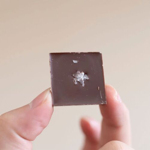 【期間限定】しおちょこ 36箱入 《販売期間：毎年10月中旬～3月末》 / チョコ 塩チョコ 能登 常温 送料無料