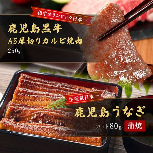 蒲焼うなぎカット済※蒲焼（80g）＋鹿児島和牛・A5厚切りカルビ焼肉250g / 牛肉 鰻 ウナギ セット ギフト 送料無料