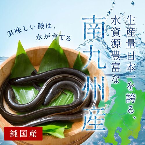 蒲焼うなぎカット済※蒲焼（80g）＋鹿児島和牛・A5霜降りスライス130g（すきやき・しゃぶしゃぶ用） / 牛肉 鰻 ウナギ セット ギフト 送料無料