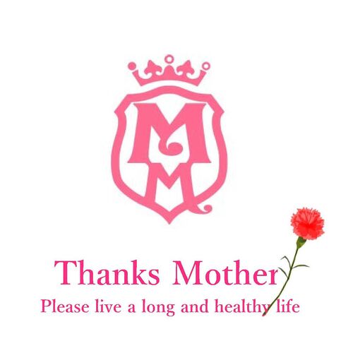 【母の日】「Maazel Maazel」 34種のやさい畑スープセット5種5個入り《お届け期間：2026年5月9日～2026年5月10日》 / スープ 常温 送料無料