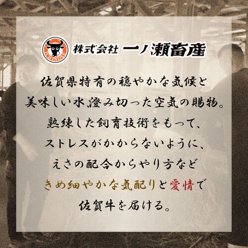 佐賀牛 サ―ロインステーキ 200g×1枚 / 牛肉 ギフト 送料無料