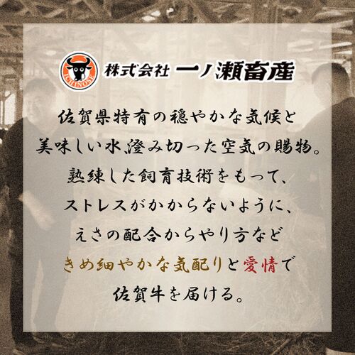 佐賀牛 焼肉 モモ・肩 200g / 牛肉 ギフト 送料無料
