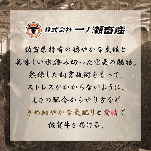 佐賀牛 肩ロース すき焼きしゃぶしゃぶ 500g / 牛肉 ギフト 送料無料
