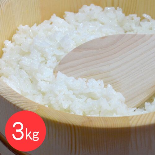 【上代厳守】しまんとの米農家に丹誠込めて育てられた、四万十のお米 3kg / 国産 米 常温 送料無料 【上代厳守】しまんとの米農家に丹誠込めて育てられた、四万十のお米 3kg / 国産 米 常温 送料無料