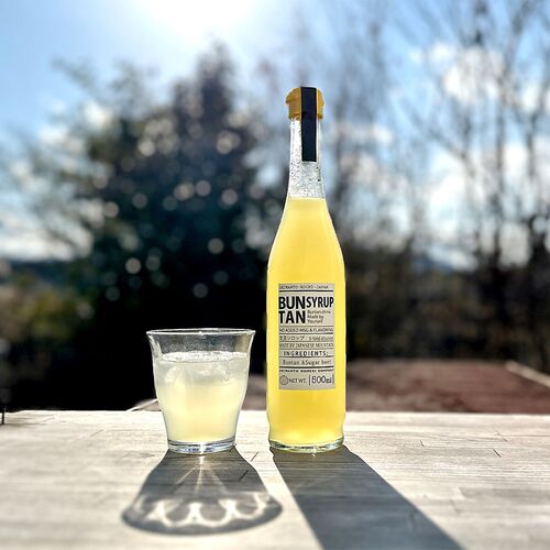 【上代厳守】無添加・無香料 ［高知の文旦ドリンク］4倍希釈 / 国産 ジュース 常温 送料無料