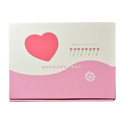 【母の日】鹿児島 「小田口屋」 お母さん想いのさつま揚げ9種24個《お届け期間：2026年5月9日～2026年5月10日》 / 冷蔵 送料無料