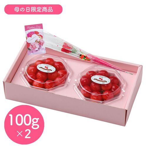 【母の日】山形県産ハウスさくらんぼ佐藤錦ダイヤパック 母の日セット《お届け期間：2026年5月9日～2026年5月10日》 / 冷蔵 送料無料