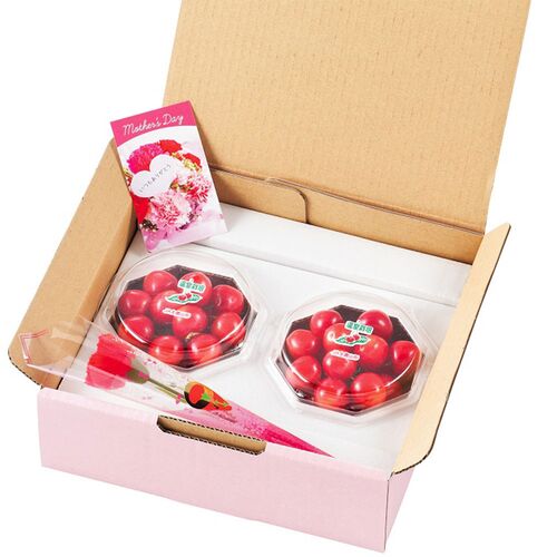 【母の日】山形県産ハウスさくらんぼ佐藤錦ダイヤパック 母の日セット《お届け期間：2026年5月9日～2026年5月10日》 / 冷蔵 送料無料