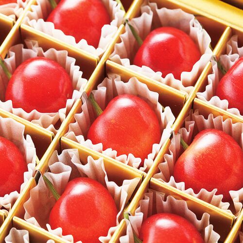 【母の日】山形県産ハウスさくらんぼ佐藤錦 母の日セット《お届け期間：2026年5月9日～2026年5月10日》 / 冷蔵 送料無料