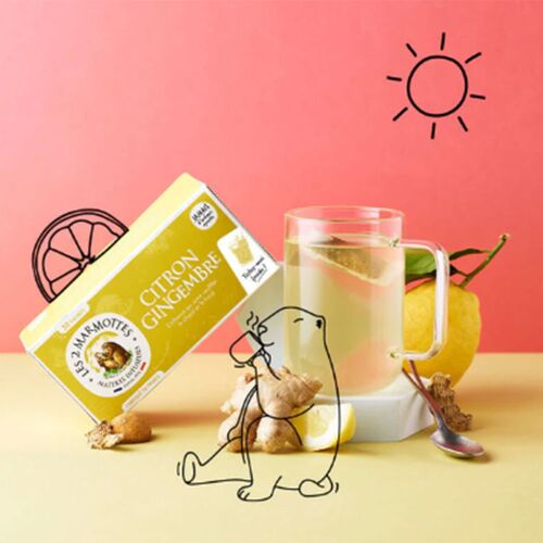 【倉入れ】LE 2 MARMOTTES ハーブティー シトロンジンジャー（30袋入）（ケース入数：10,ロット：1） / 紅茶 ティーバッグ 常温 送料無料