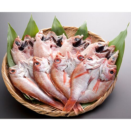 山口 「山賀」 のどぐろ開き干し8尾セット / 冷凍 送料無料