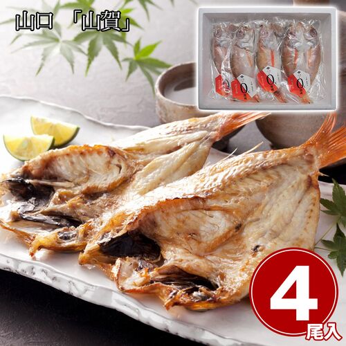 山口 「山賀」 のどぐろ開き0℃熟成干し 4尾セット / 冷凍 送料無料
