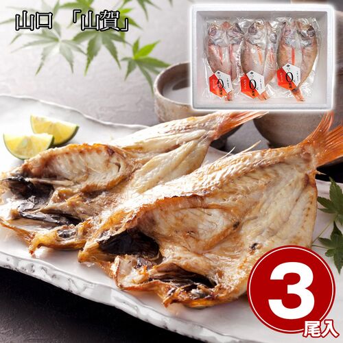 山口 「山賀」 のどぐろ開き0℃熟成干し 3尾セット / 冷凍 送料無料