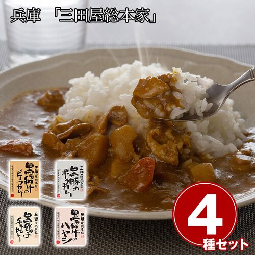 兵庫 「三田屋総本家」 こだわりカレー＆ハヤシセット / 常温 送料無料