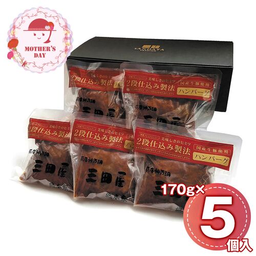 【母の日】 2段仕込みハンバーグ詰合せ 5個 HBK-A 1851-779 【二重包装不可】《お届け期間：2026年5月8日～2026年5月10日》 / 冷凍 送料無料 セット ギフト ハンバーグ