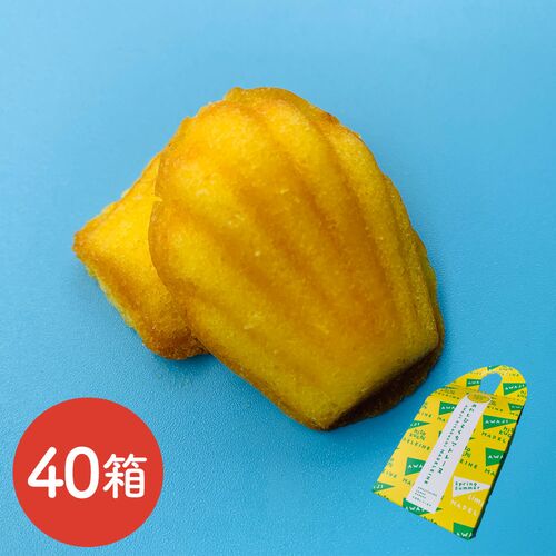 【倉入れ】【期間限定】あわじひとくちマドレーヌ 春夏限定（淡路島レモン）6個（ケース入数：40,ロット：1） / 常温 送料無料 マドレーヌ 淡路島