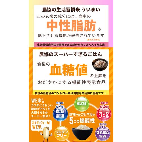 大阪もん！スーパー玄米WE米ギフトセット / 常温 送料無料 米 玄米 セット 詰め合わせ JA