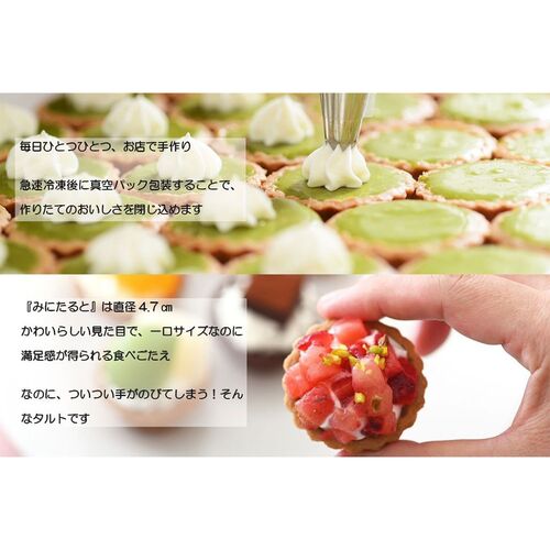 【バレンタイン限定】ミニタルトセット 9個入 / 冷凍 送料無料 タルト ケーキ スイーツ ギフト プレゼント