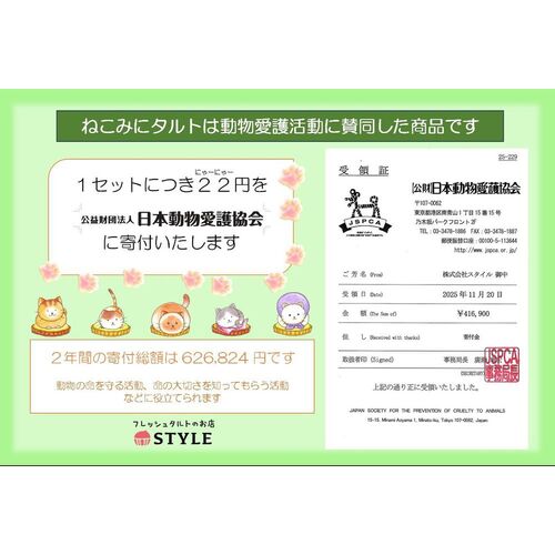 【祝！誕生日】ねこみにタルトセット 9個入 冬フレーバー / 冷凍 送料無料 タルト ケーキ スイーツ ギフト プレゼント ネコ 猫