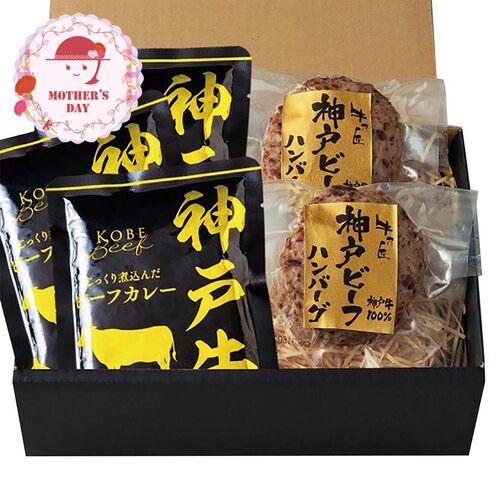 【母の日】 神戸ビーフハンバーグ＆カレー詰合せ（ハンバーグ×2、カレー×3） 3785-40 1852-670 【二重包装不可】《お届け期間：2026年5月8日～2026年5月10日》 / 冷凍 送料無料 セット ギフト ハンバーグ カレー