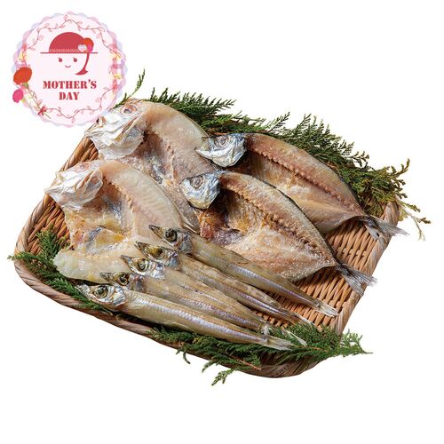 【母の日】 山陰海鮮一夜干しセット（れんこ鯛開き、沖きす丸干し丸干し、あじ開き） 6364-35 1852-783 【二重包装不可】《お届け期間：2026年5月8日～2026年5月10日》 / 冷凍 送料無料 セット ギフト 一夜干し