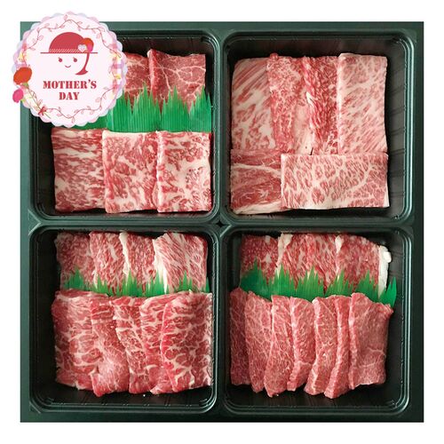 【母の日】 蔵王牛焼肉一頭盛り（肩ロース、モモ、バラ 各100g、ヒレ、ロース 各50g） 6514-100 1852-846 【二重包装不可】《お届け期間：2026年5月8日～2026年5月10日》 / 冷凍 送料無料 セット ギフト 食べ比べ