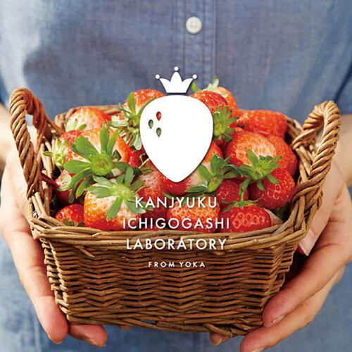 【母の日】 完熟いちごミルクプリン＆プリザーブドフラワー KJ-MPR3PRZ 1854-232 【二重包装不可】《お届け期間：2026年5月8日～2026年5月10日》 / 冷凍 送料無料 セット ギフト プリン プリザーブドフラワー