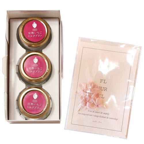 【母の日】 完熟いちごミルクプリン＆グリーティングカード KJ-PK5GTC 1854-256 【二重包装不可】《お届け期間：2026年5月8日～2026年5月10日》 / 冷凍 送料無料 セット ギフト プリン カード