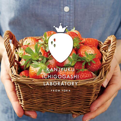 【母の日】 完熟いちごパンケーキ＆ムレスナティー KJ-PK5MT1 1854-268 【二重包装不可】《お届け期間：2026年5月8日～2026年5月10日》 / 冷凍 送料無料 セット ギフト パンケーキ 紅茶