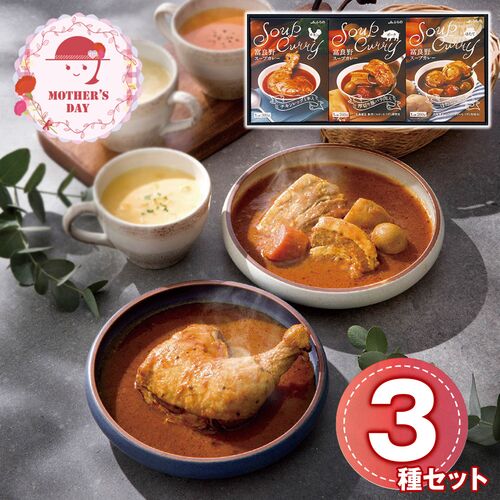 【母の日】 富良野スープカレーセット（チキンレッグ入、厚切り豚バラ肉入、ほたて2個入×各1個）  FSC-30 1854-838 【二重包装不可】《お届け期間：2026年5月8日～2026年5月10日》 / 常温 送料無料 セット ギフト カレー 北海道