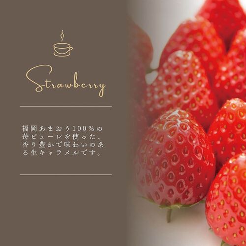 【父の日】 あまおう苺&宮崎完熟マンゴー 生キャラメル詰合せ 3709-50 1856-046 【二重包装不可】《お届け期間：2026年6月19日～2026年6月21日》 / 常温 送料無料 セット ギフト 生キャラメル