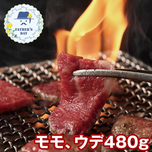 【父の日】 萬野屋 萬野和牛 焼肉モモ・ウデ（480g） 6620-100 1856-553 【二重包装不可】《お届け期間：2026年6月19日～2026年6月21日》 / 冷凍 送料無料 セット ギフト 焼き肉