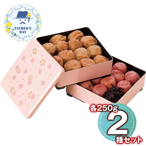 【父の日】 紀州南高梅 ～雅～（重箱仕立て） 6567-50P 1856-806 【二重包装不可】《お届け期間：2026年6月19日～2026年6月21日》 / 常温 送料無料 セット ギフト 梅干し 南高梅