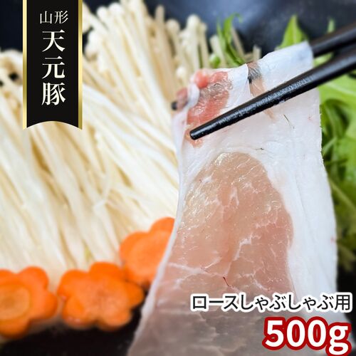 山形 天元豚 ロースしゃぶしゃぶ用500g / 冷凍 送料無料 豚肉 国産