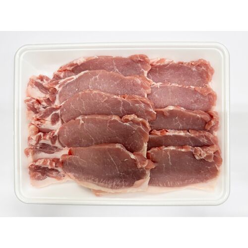 山形 天元豚 ロースとんかつ用10枚 計1000g / 冷凍 送料無料 豚肉 国産